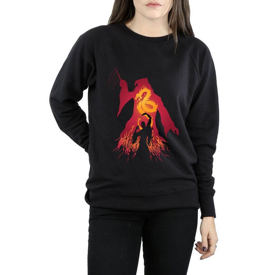 Harry Potter Drago Regular Fit Felpa  