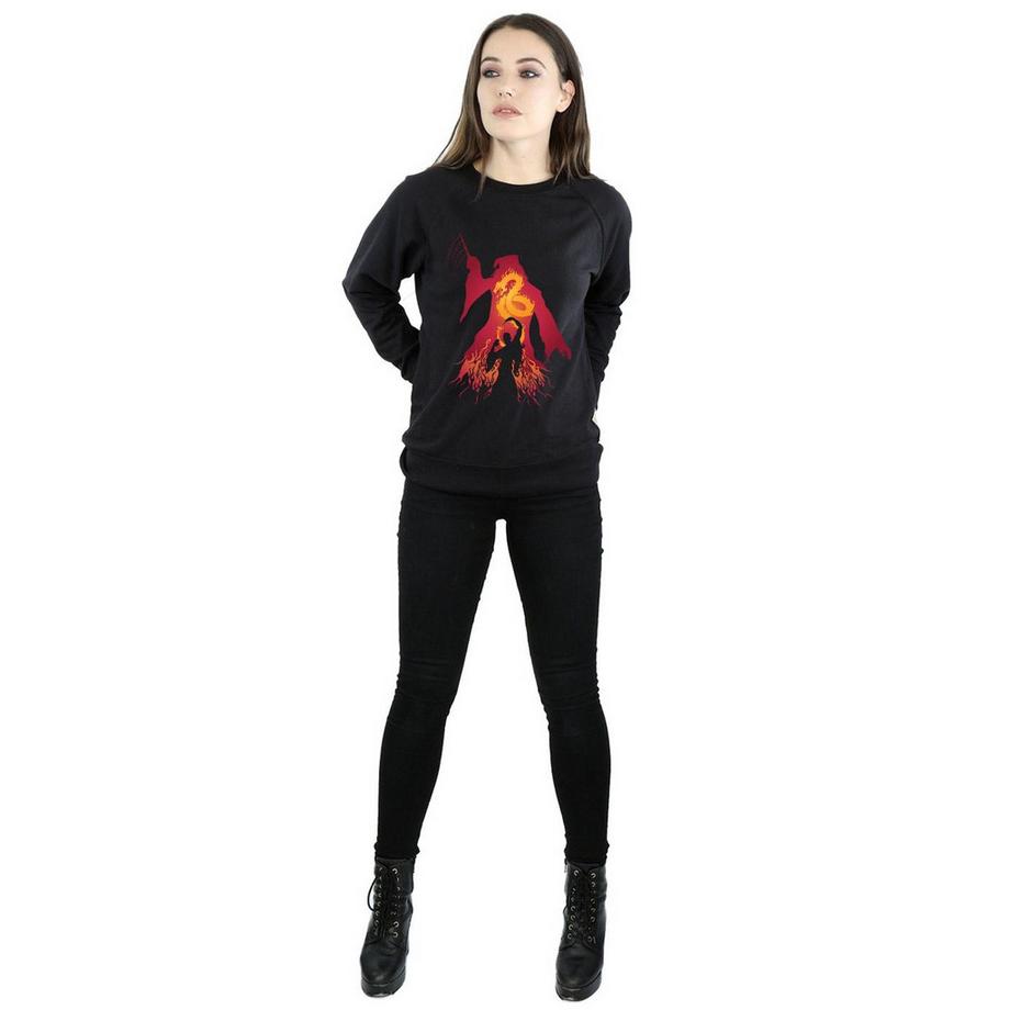 Harry Potter Drago Regular Fit Felpa  