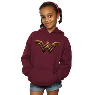 DC COMICS  Sweat à capuche JUSTICE LEAGUE 