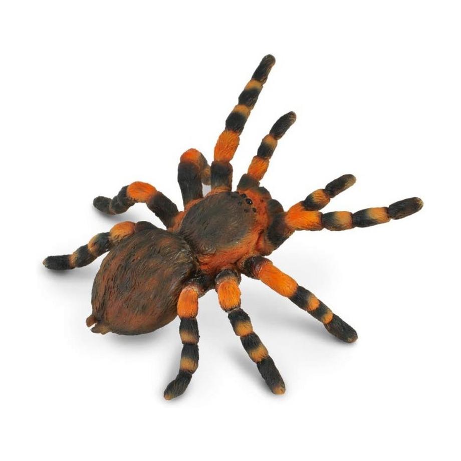 CollectA  Little Wonders Mexikanische Rotknie-Vogelspinne 