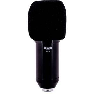 CAD Audio  U29 - USB Side Address Studio Mic Sprach-Mikrofon inkl. Stativ 