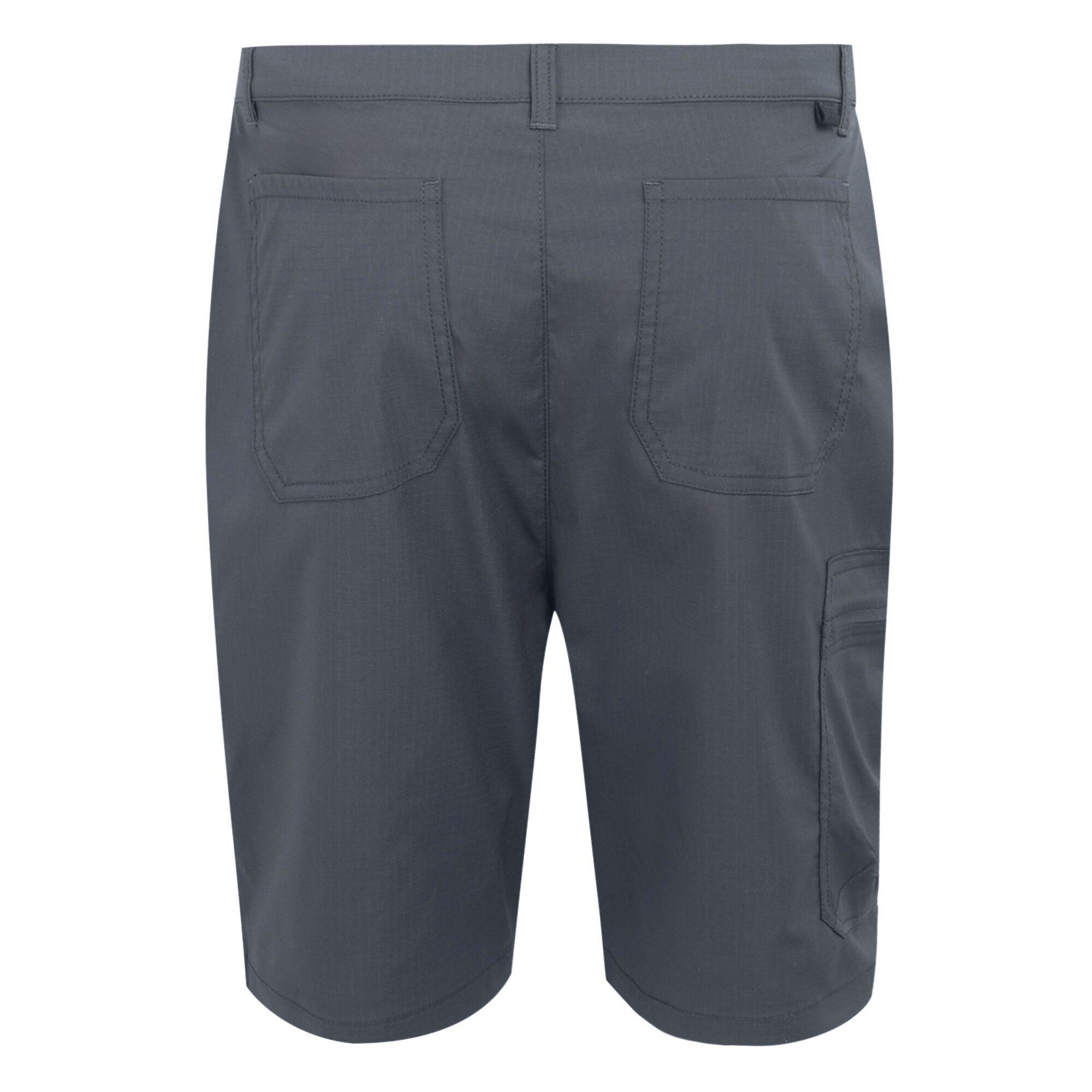 Regatta Short Dalry  