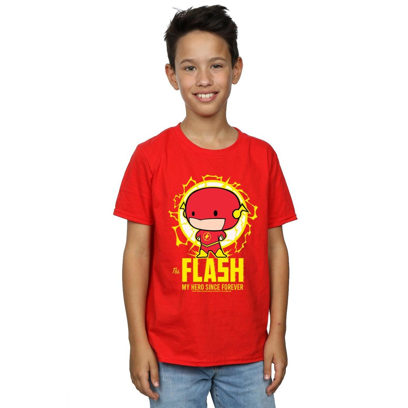 DC COMICS  Flash My Hero Since Forever TShirt 