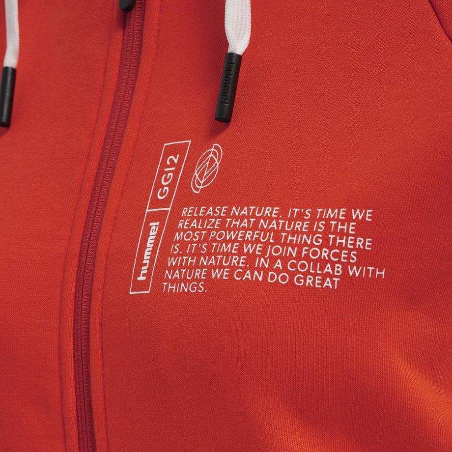 Hummel  sweatshirt à capuche hmlgg12 