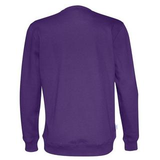 Cottover Rundhals Sweatshirt Regular Fit  