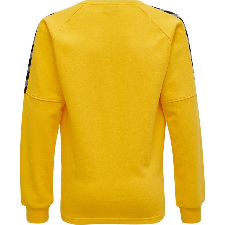 Hummel  pullover kind hmlauthentic training 