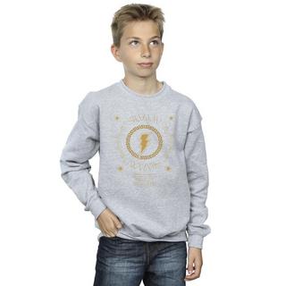 DC COMICS  Fury Of The Gods Sweatshirt 