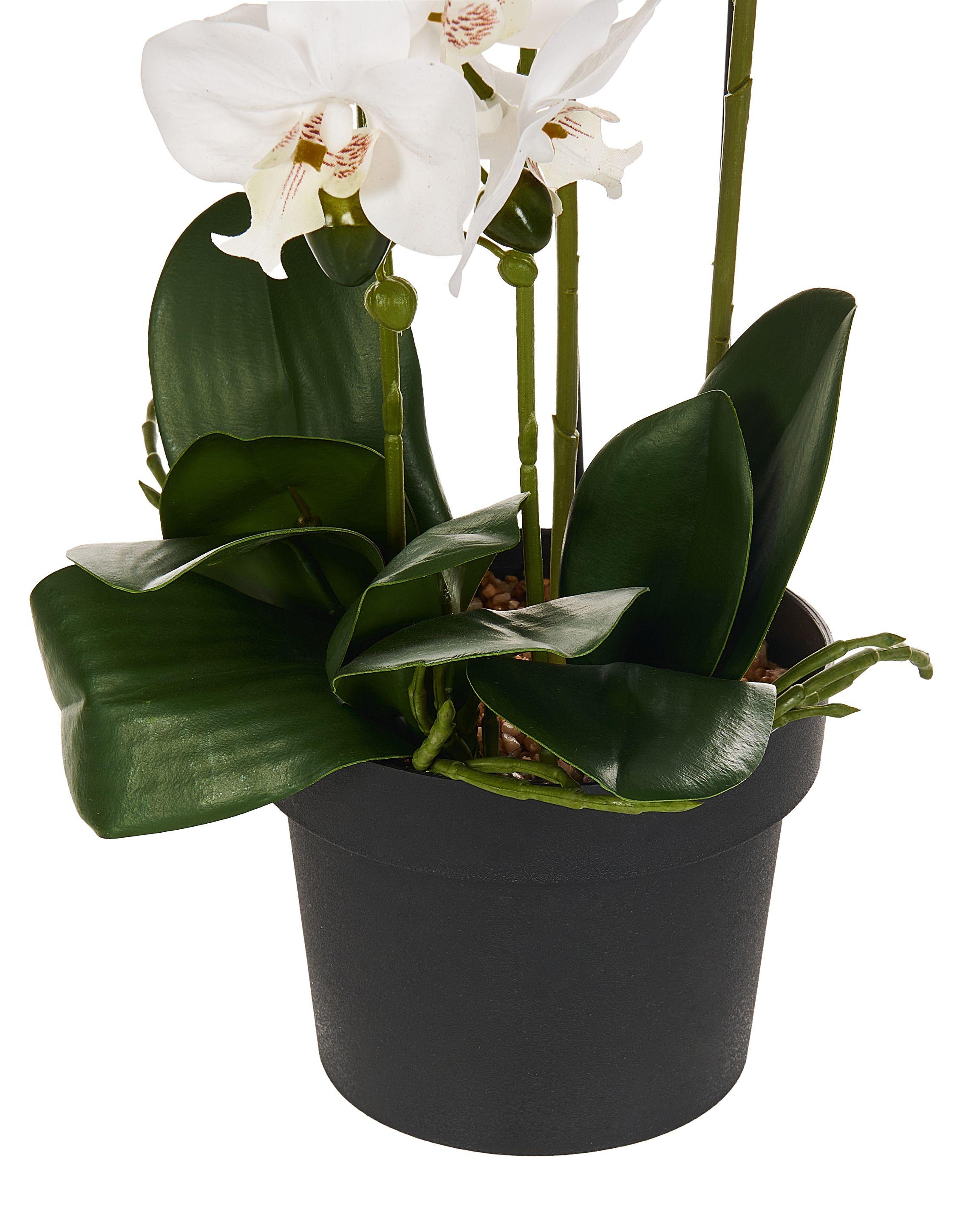 Beliani Plante artificielle en Matière synthétique Rétro ORCHID  