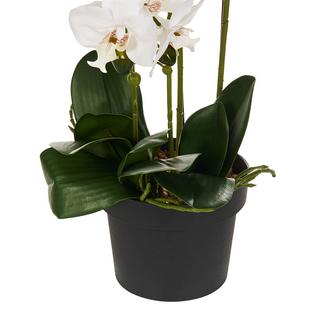 Beliani Plante artificielle en Matière synthétique Rétro ORCHID  