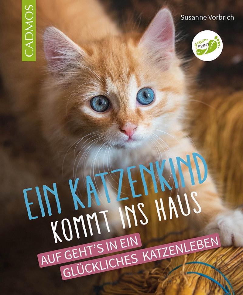 Ein Katzenkind kommt ins Haus Vorbrich, Susanne Copertina rigida 