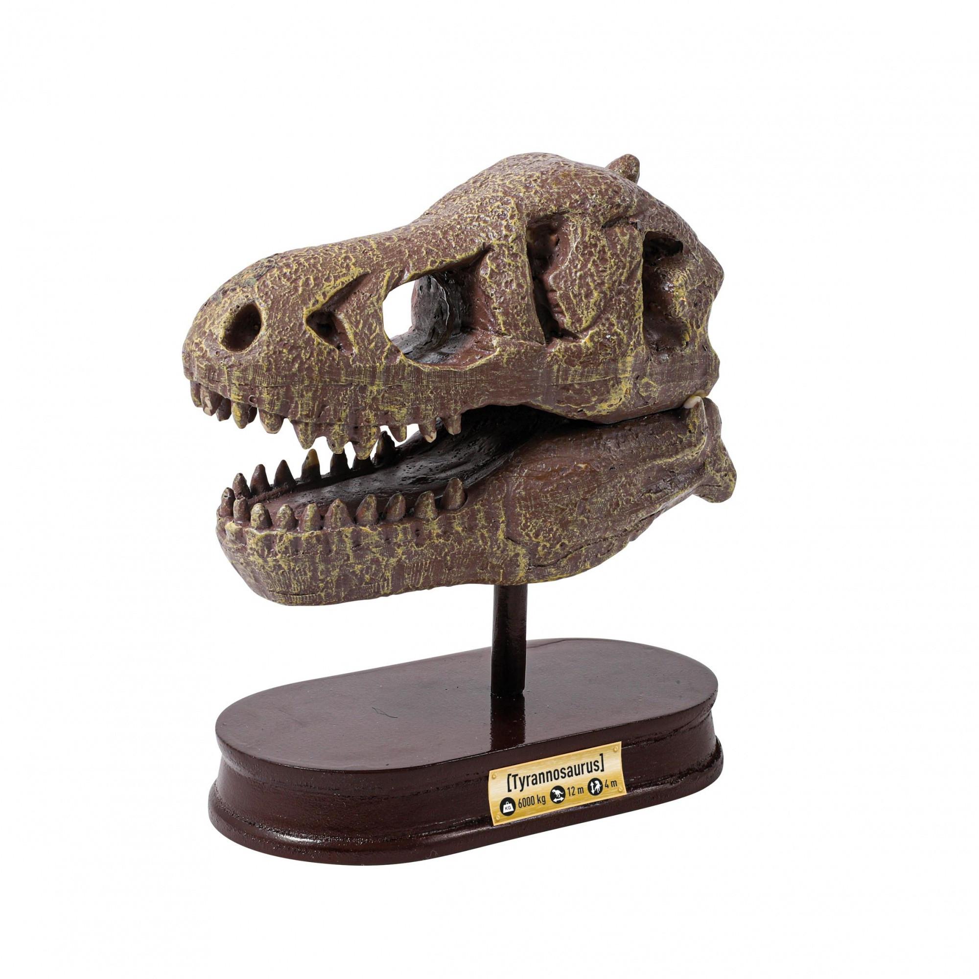 Buki France  Ausgrabungs-Set Dinosaurier-Schädel Tyrannosaurus 