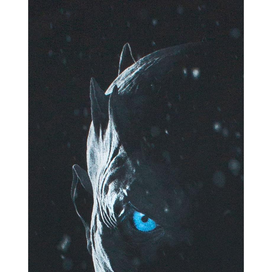 Game of Thrones Game of Thrones Night King Grafikdruck T-Shirt  