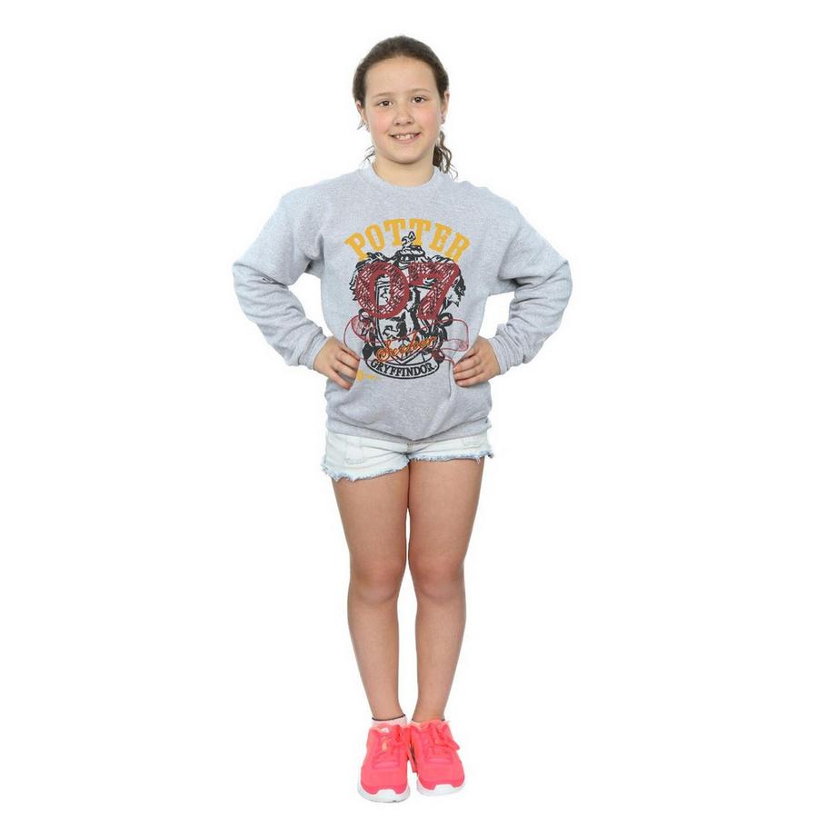 Harry Potter  Gryffindor Seeker Sweatshirt 