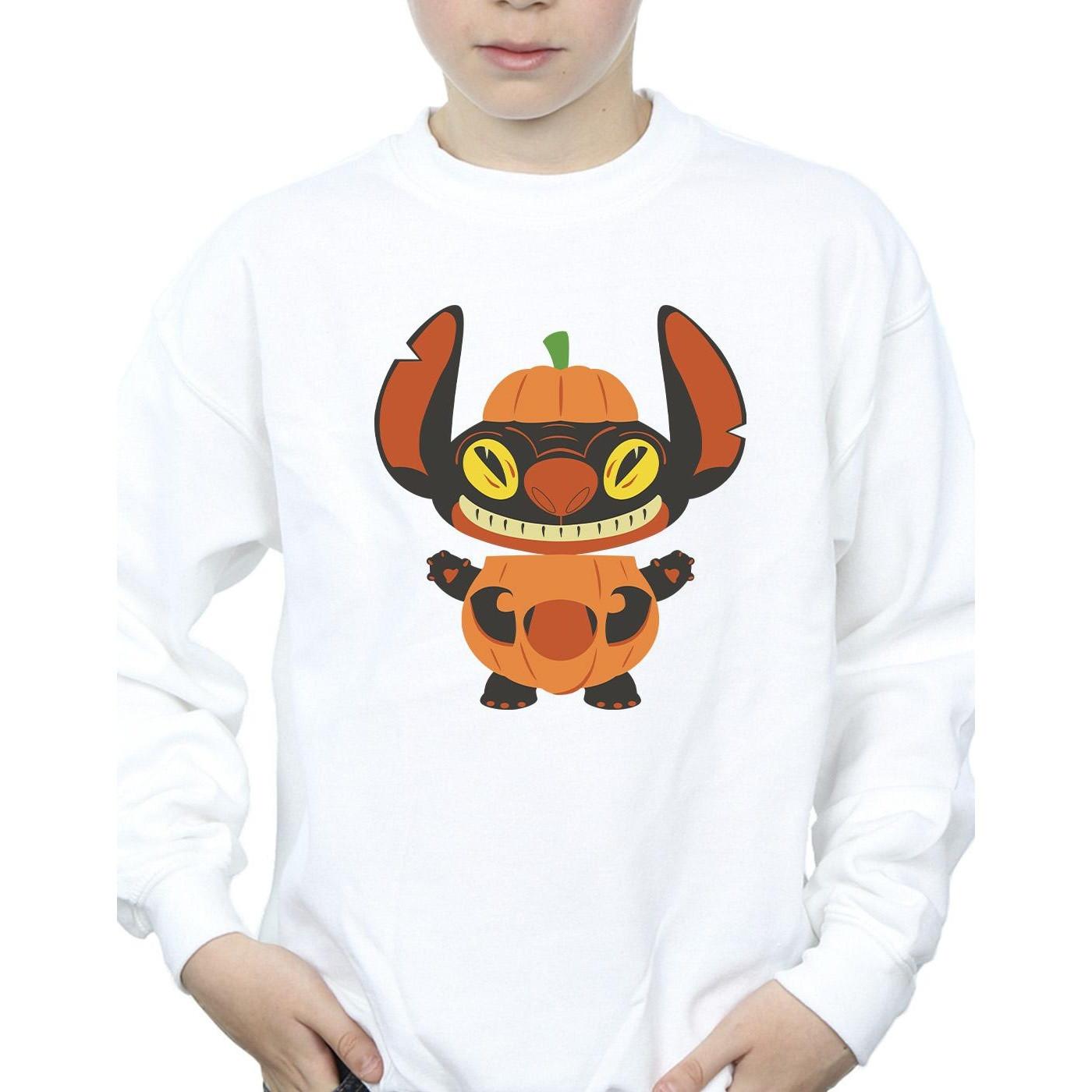 Disney  Sweatshirt 