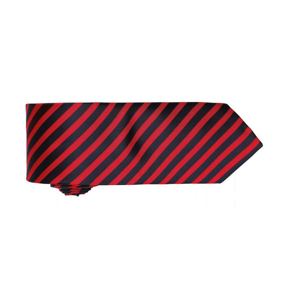 PREMIER Cravate double rayure  