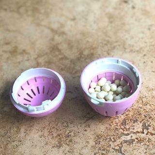 ecoegg Waschei Refill Spring Blossom  