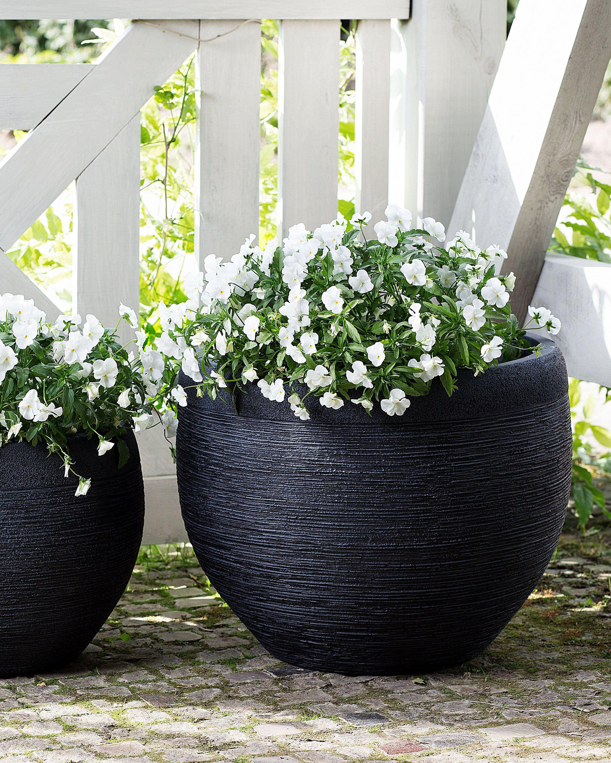 Beliani Cache-pot en Fibre d'argile Scandinave ZAKROS  