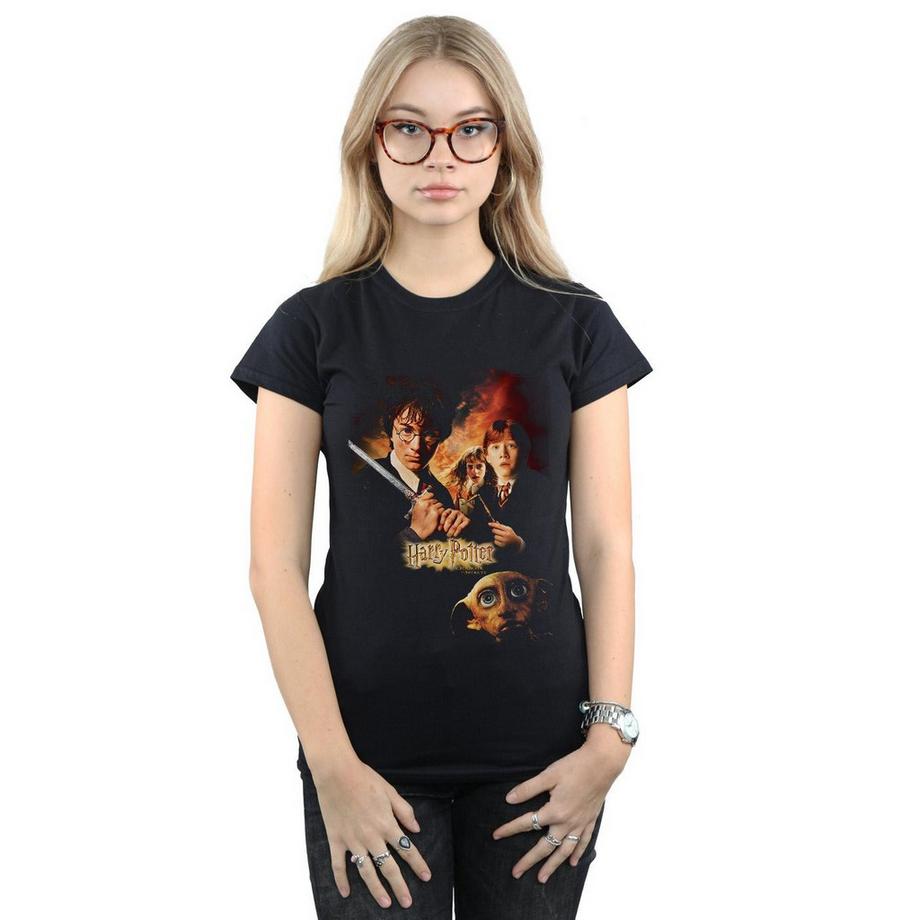 Harry Potter Chamber Of Secrets T-Shirt  