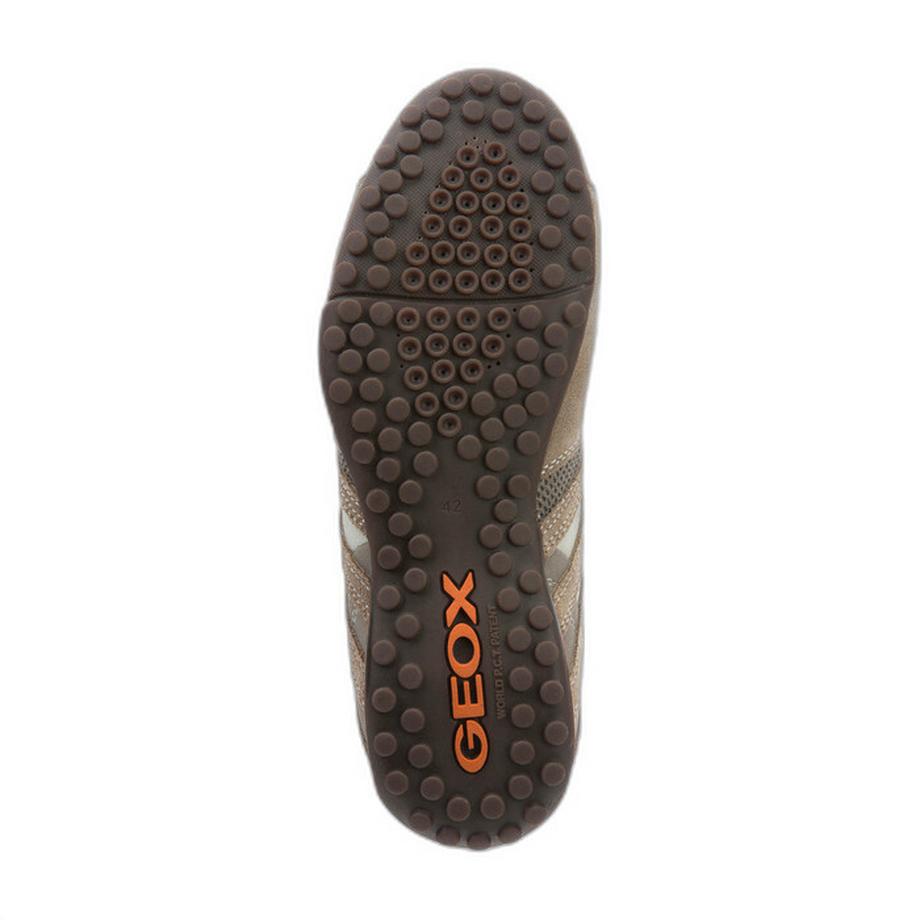 GEOX  Scarpe da ginnastica Geox Snake 