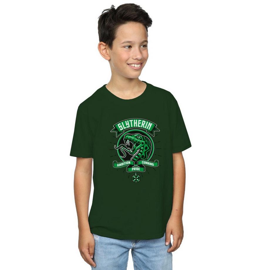 Harry Potter  Slytherin TShirt 