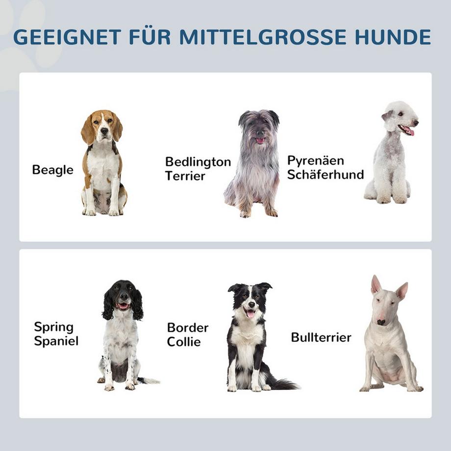 Northio  Hundenapf Schublade Edelstahl Doppelnapf Mittelgroße Hunde Grau Futterstation 