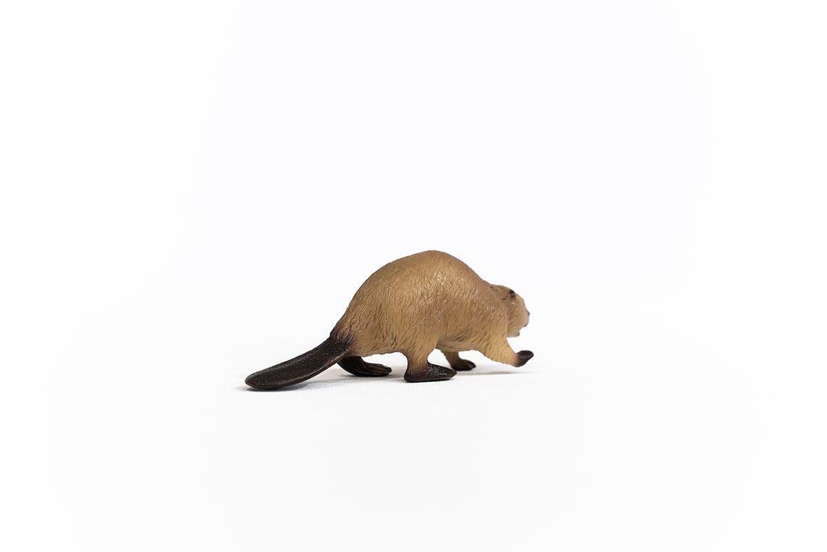 Schleich  Schleich Wild Life Bever - 14855 
