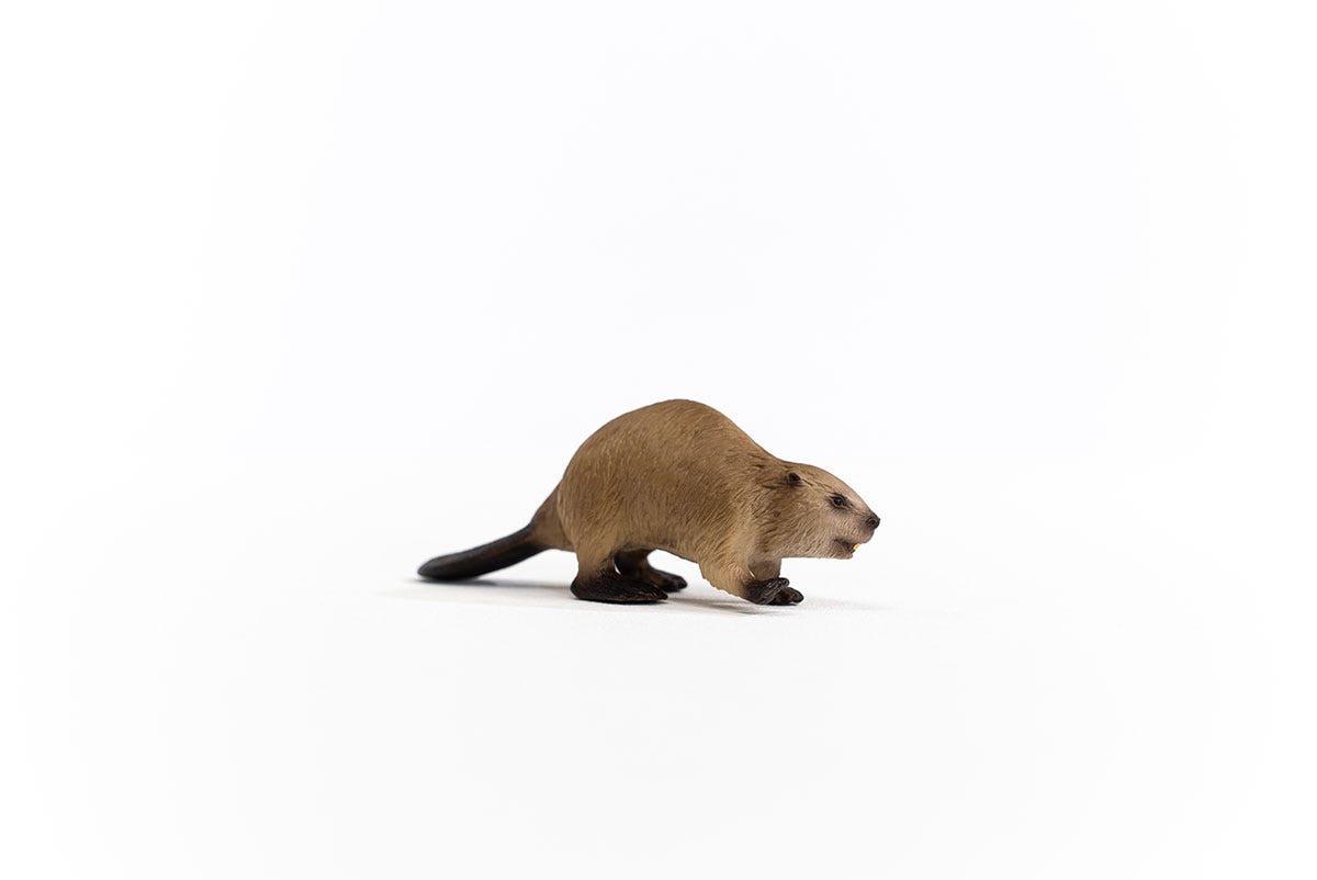 Schleich  Schleich Wild Life Bever - 14855 