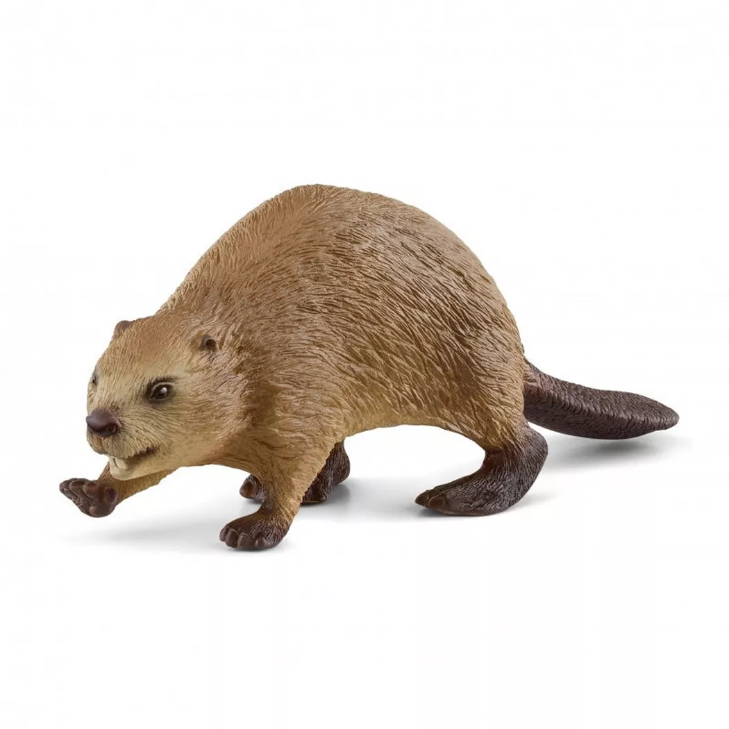 Schleich -  Wild Life Bever - 14855, Braun