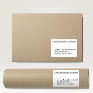 Avery-Zweckform  Avery Zweckform Rollen-Etiketten, Paketaufkleber, 54 x 101 mm, 12 Rolle/2.64 Etiketten 