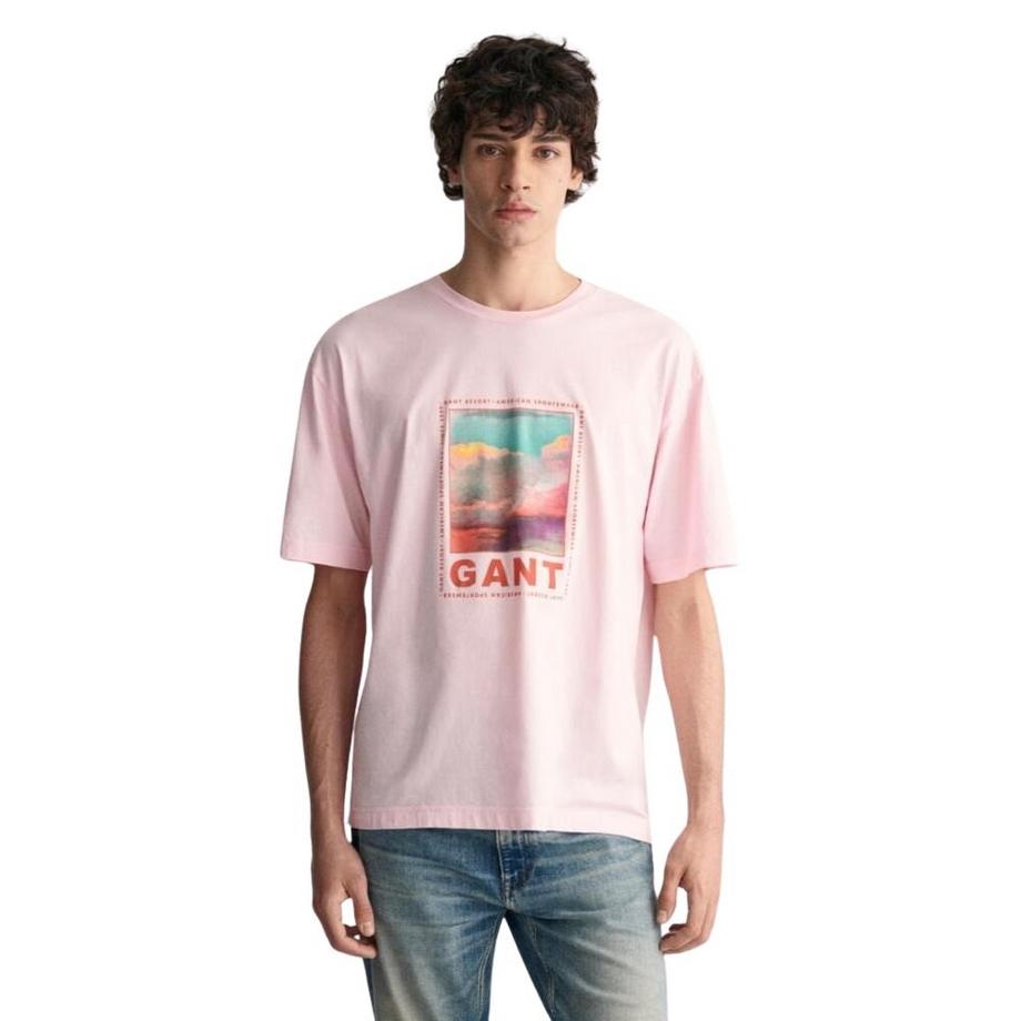 GANT Washed Graphic T-Shirt  