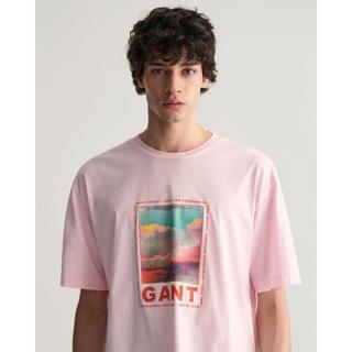 GANT  t-hirt wahed graphic 