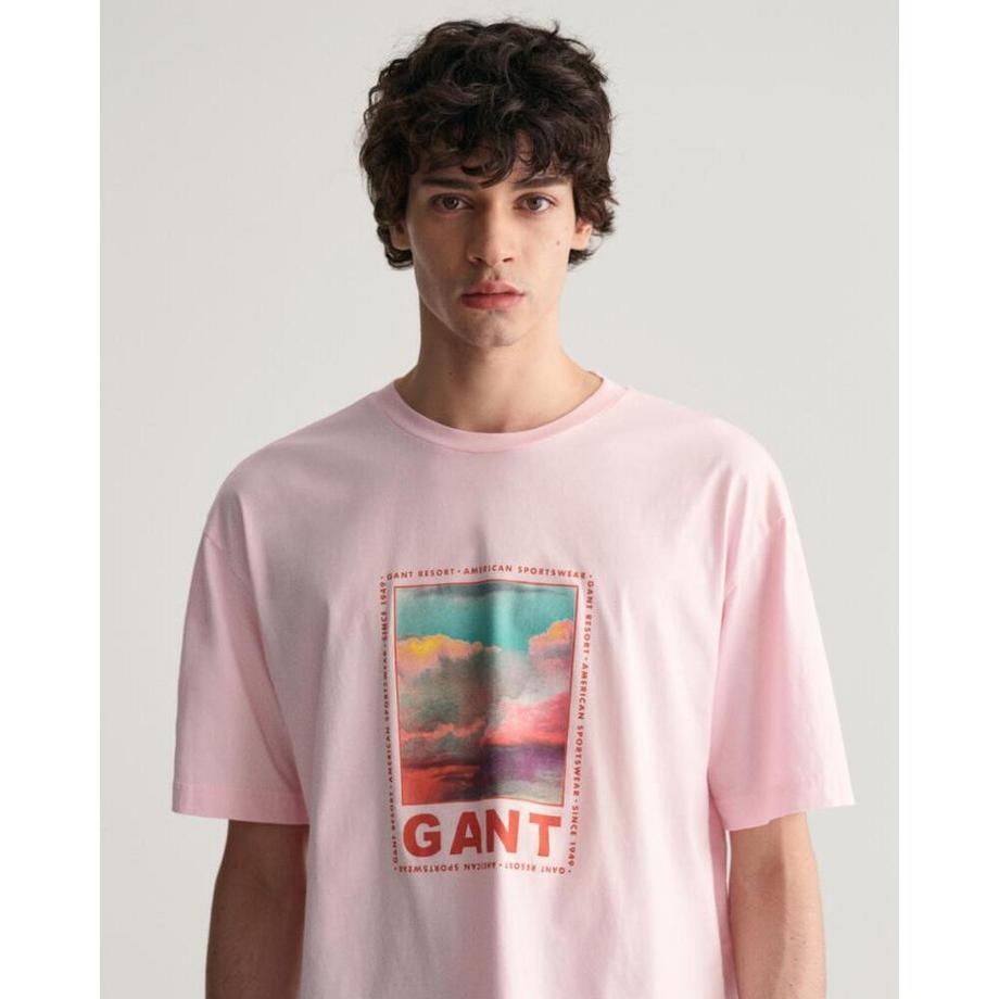GANT Washed Graphic T-Shirt  