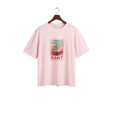 GANT  t-hirt wahed graphic 