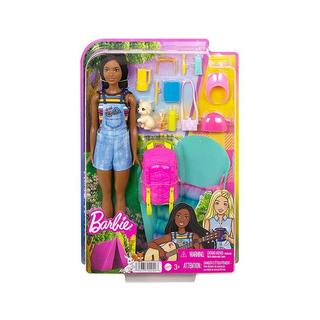 Barbie  Familie & Freunde Camping Spielset mit Brooklyn Puppe 