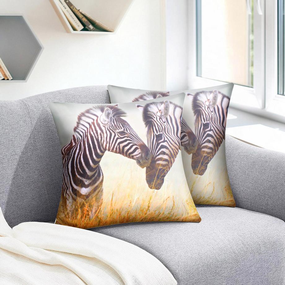 Avizar Lot 2 Housses de Coussin Zèbre  