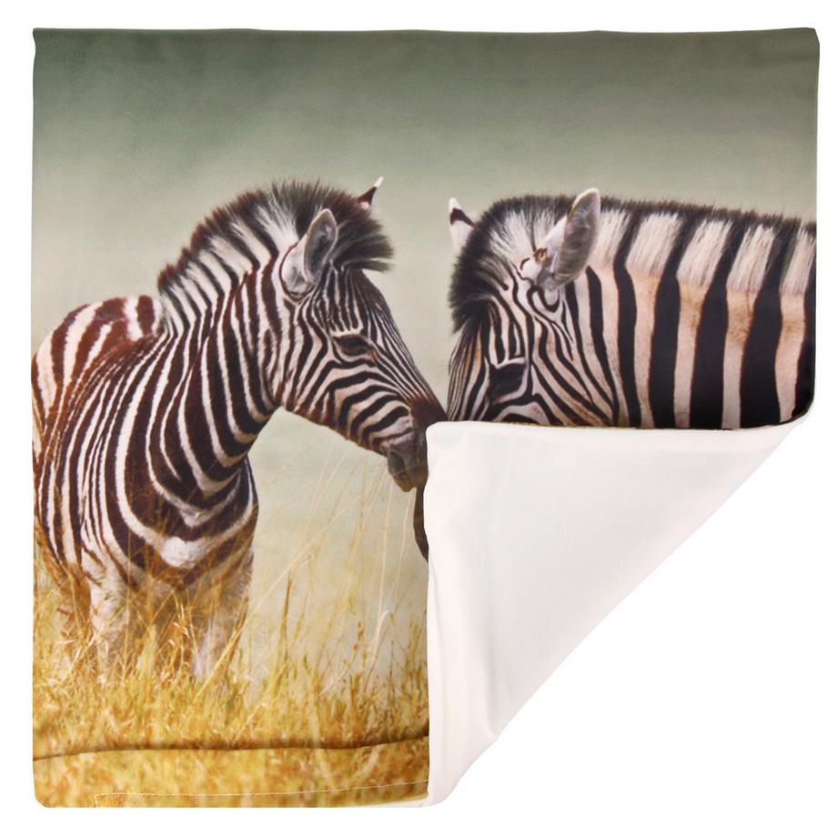 Avizar Lot 2 Housses de Coussin Zèbre  