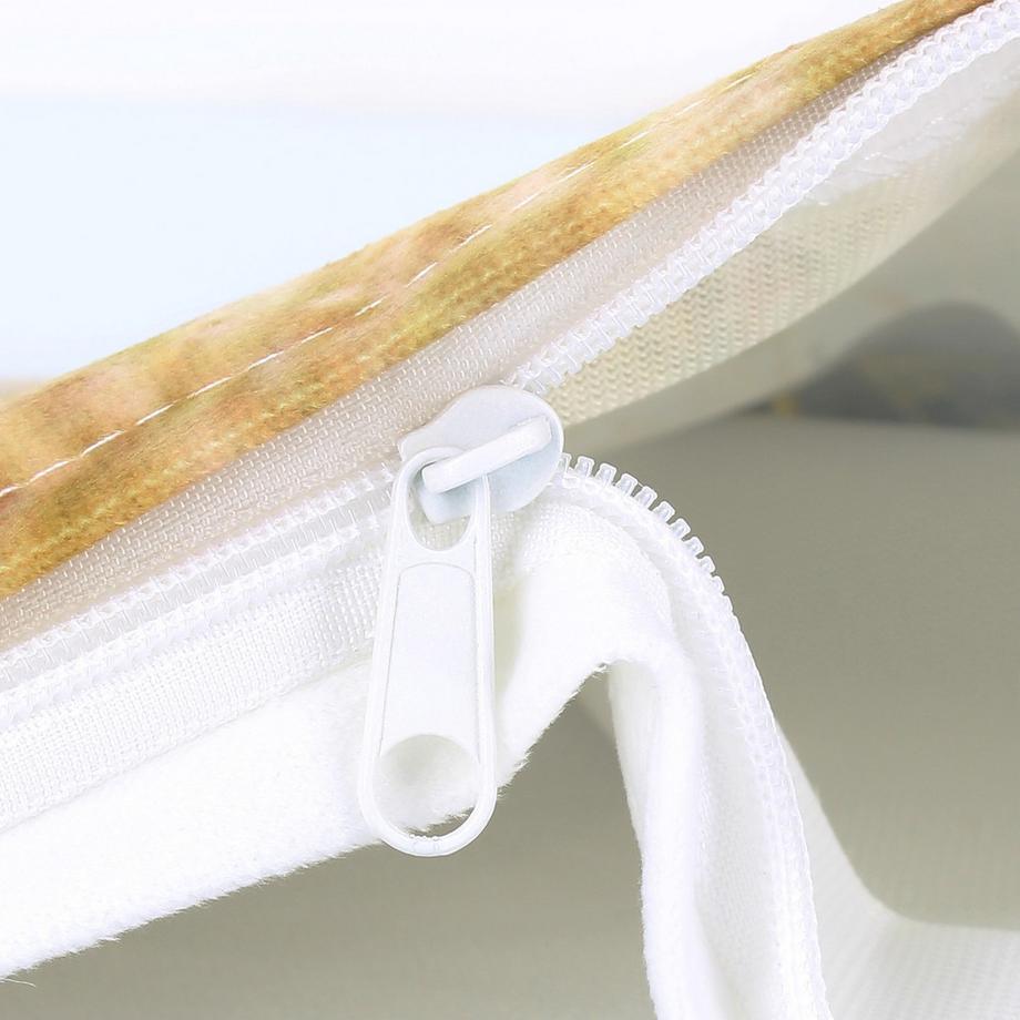 Avizar Lot 2 Housses de Coussin Zèbre  