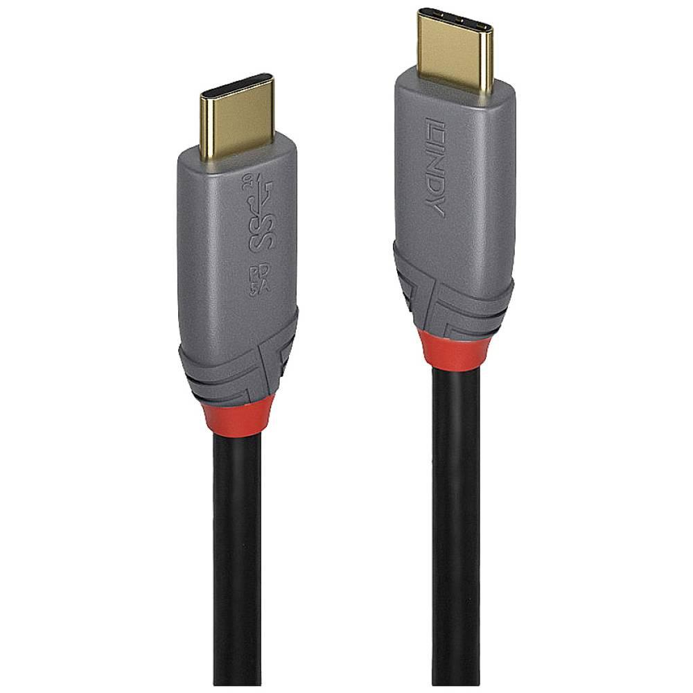 LINDY  Câble USB 0.5 m USB C 