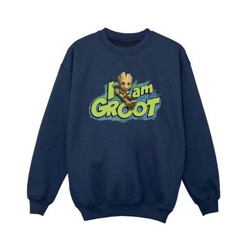 Guardians Of The Galaxy I Am Groot Sweatshirt