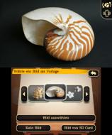 Nintendo  New Art Academy 