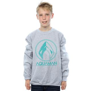 DC COMICS  Sweatshirt 