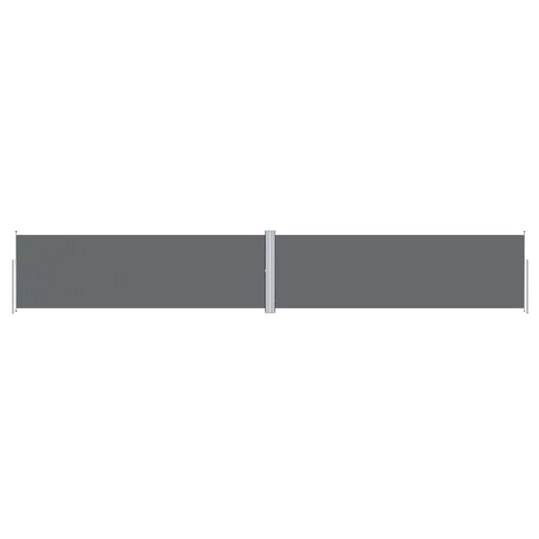 VidaXL - tenda da sole laterale, One Size, Grigio