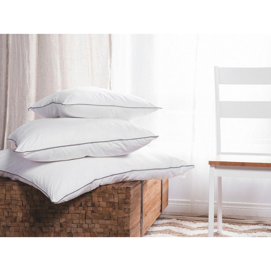 Beliani Pelister Japara Baumwolle Kissen 2er Set  