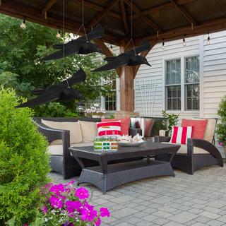 B2X Spaventapasseri Corvo Set di 3  