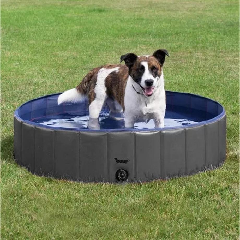 Purlov  Piscine pliante/parc pour chien 120x30 Purlov 23831 