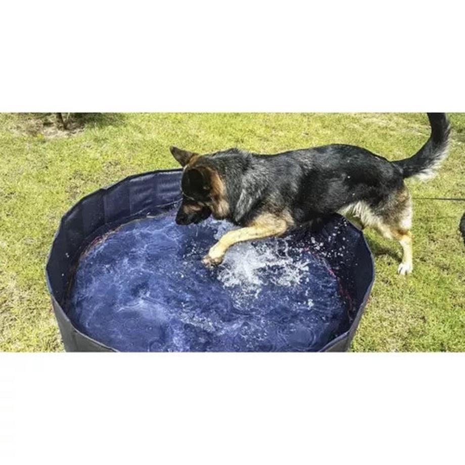 Purlov  Piscine pliante/parc pour chien 120x30 Purlov 23831 