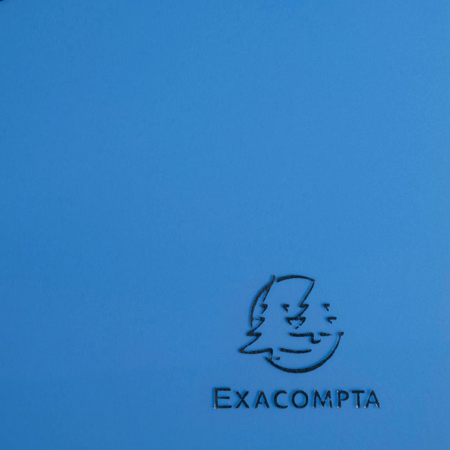 Exacompta Archivbox A4 aus Polypropylen, Rückenbreite 25mm, Chromaline - x 4  