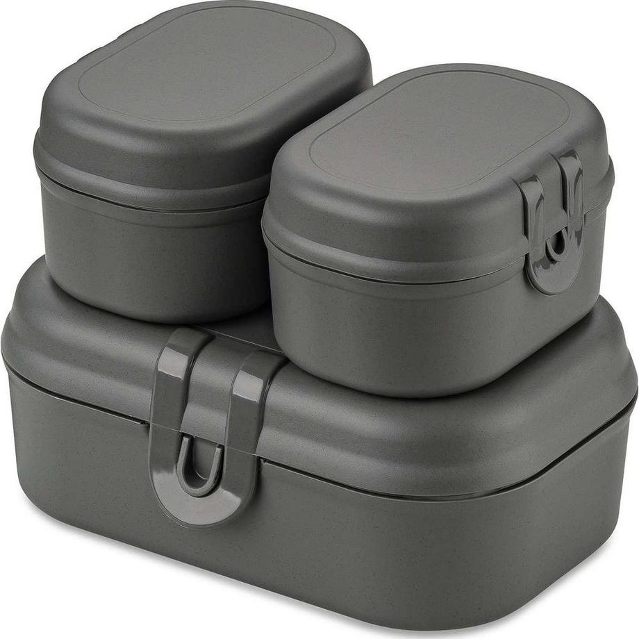koziol  Lunchbox Pascal Ready Mini 