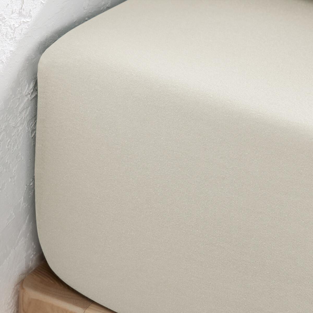 La Redoute Intérieurs Drap housse Scenario Jersey Coton  