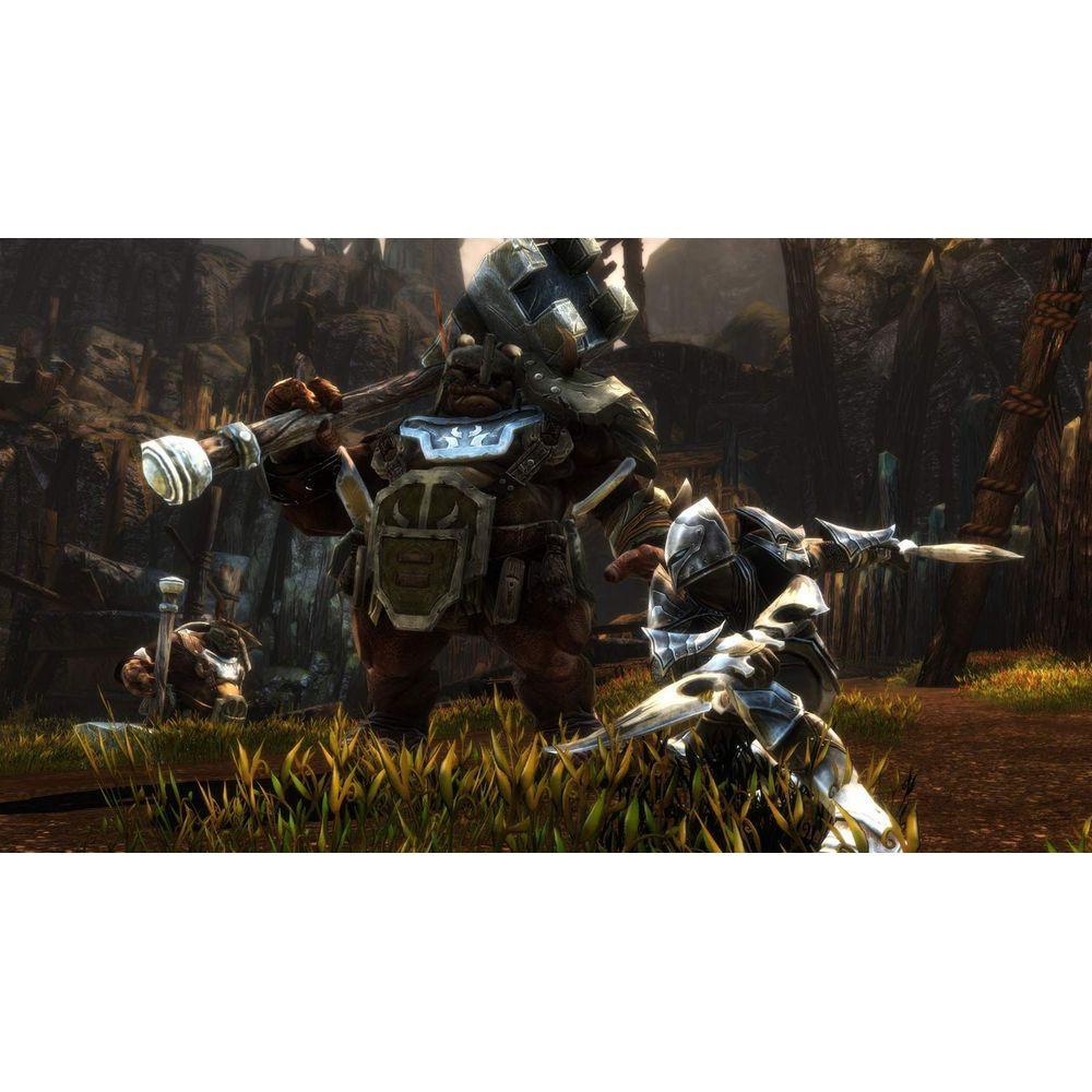 THQ  Kingdoms of Amalur : Re-Reckoning 